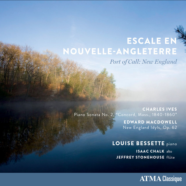 Arbres qui se reflètent sur un lac brumeux